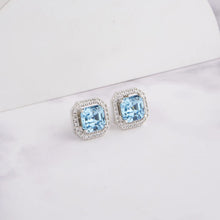 Load image into Gallery viewer, Colt Earrings - Aqua
