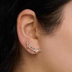 Heart Climber Earrings Mozaati