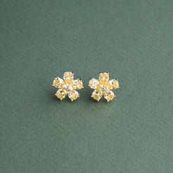 Parisa Earrings Mozaati