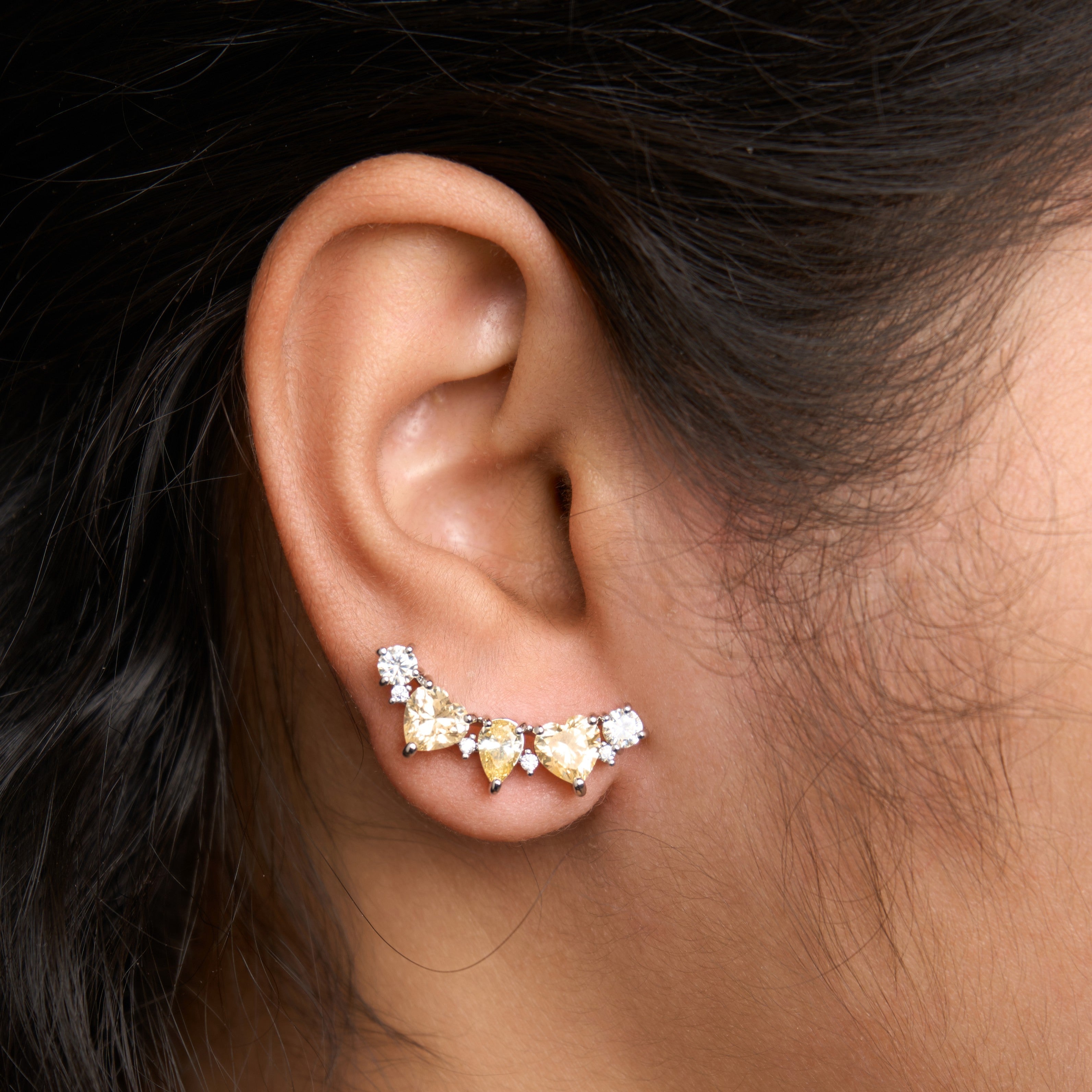 Heart Climber Earrings Mozaati