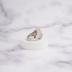 Ciana Ring
