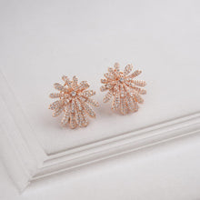 Load image into Gallery viewer, Lainey Earrings

