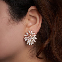 Load image into Gallery viewer, Lainey Earrings - Rose
