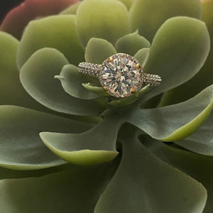 Athena Ring - Gold / US 6
