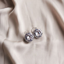 Load image into Gallery viewer, Round Drop Earrings
